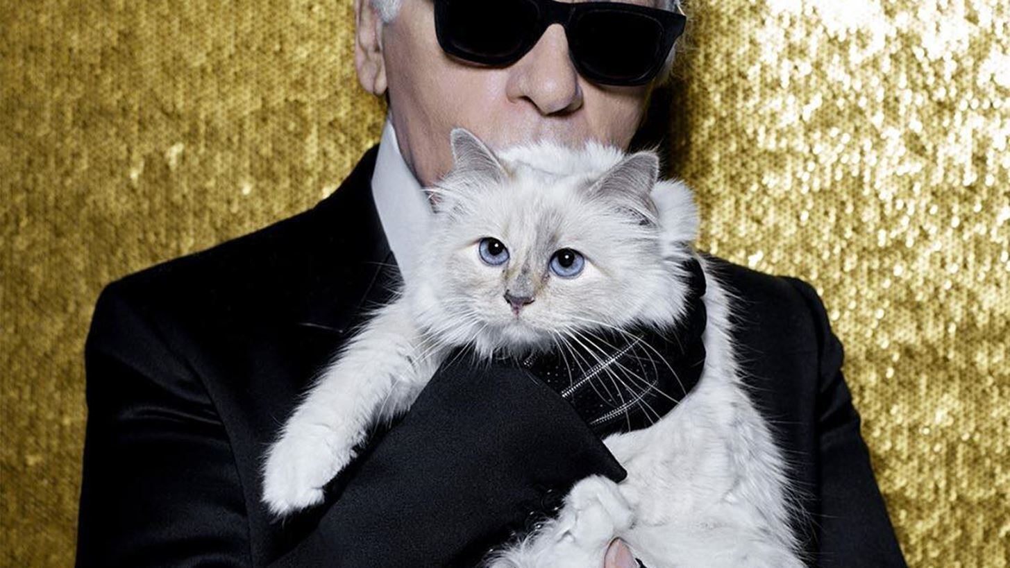 &#x397; Choupette &#x3B1;&#x3C0;&#x3BF;&#x3C7;&#x3B1;&#x3B9;&#x3C1;&#x3B5;&#x3C4;&#x3AC; &#x3C4;&#x3BF;&#x3BD; Karl Lagerfeld
