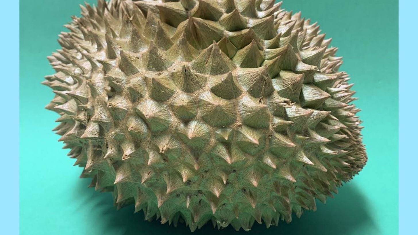 5 &#x3C4;&#x3C1;&#x3BF;&#x3C0;&#x3B9;&#x3BA;&#x3AC; &#x3C6;&#x3C1;&#x3BF;&#x3CD;&#x3C4;&#x3B1; &#x3C0;&#x3BF;&#x3C5; &#x3C0;&#x3C1;&#x3AD;&#x3C0;&#x3B5;&#x3B9; &#x3BD;&#x3B1; &#x3B4;&#x3BF;&#x3BA;&#x3B9;&#x3BC;&#x3AC;&#x3C3;&#x3B5;&#x3B9;&#x3C2; &#x3BA;&#x3B1;&#x3B9; &#x3BF;&#x3B9; &#x3C4;&#x3C1;&#x3CC;&#x3C0;&#x3BF;&#x3B9; &#x3B3;&#x3B9;&#x3B1; &#x3BD;&#x3B1; &#x3C4;&#x3B1; &#x3B1;&#x3C0;&#x3BF;&#x3BB;&#x3B1;&#x3CD;&#x3C3;&#x3B5;&#x3B9;&#x3C2;