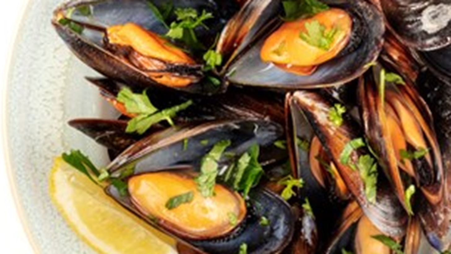 &#x3A4;&#x3B1; &#x39C;&#x3CD;&#x3B4;&#x3B9;&#x3B1; &#x3C4;&#x3BF;&#x3C5; &#x39D;&#x3B1;&#x3C5;&#x3C4;&#x3B9;&#x3BA;&#x3BF;&#x3CD;