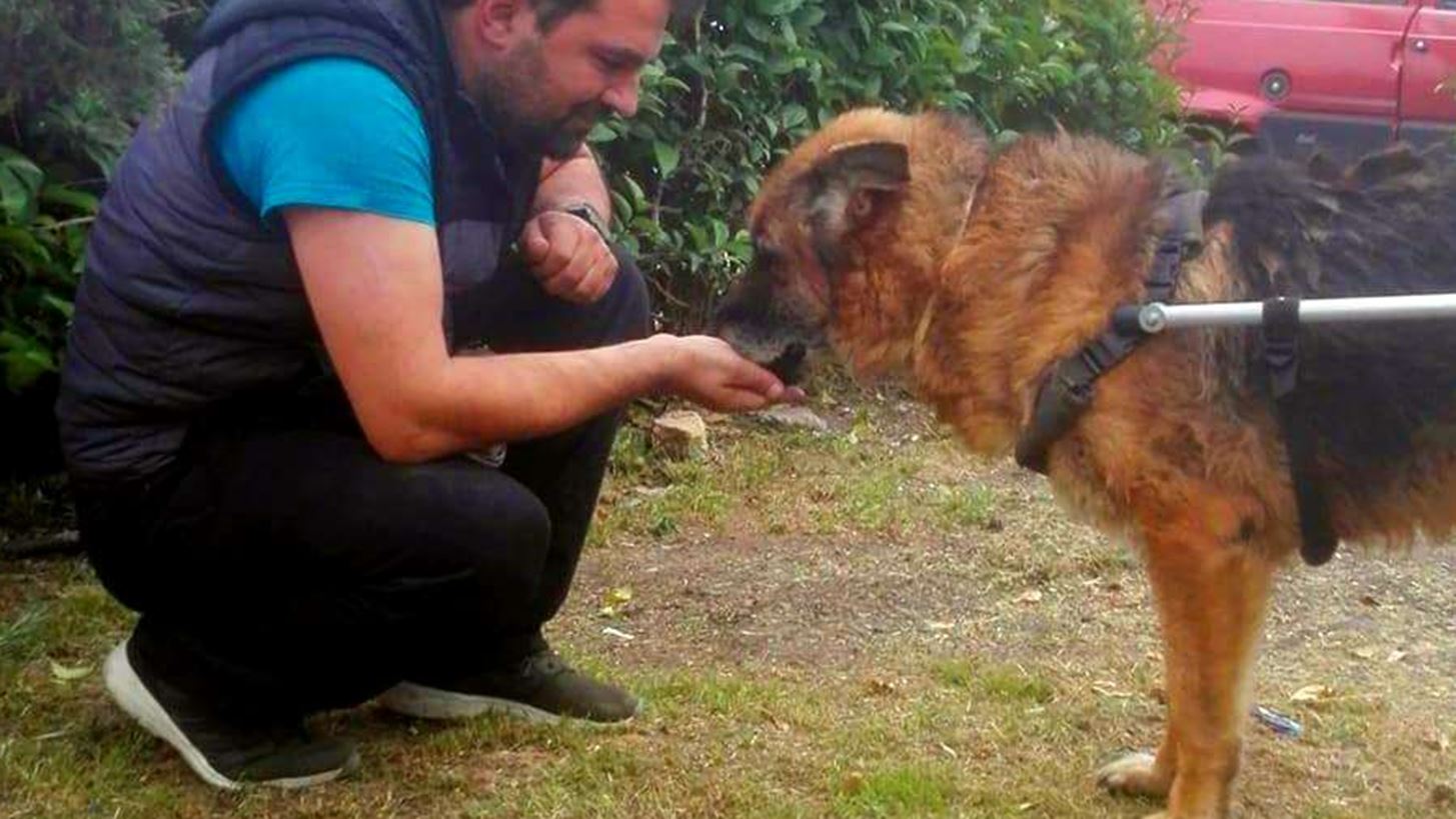 &#x39F; &#x392;&#x3B1;&#x3C3;&#x3AF;&#x3BB;&#x3B7;&#x3C2; &#x3A4;&#x3B6;&#x3B9;&#x3B3;&#x3BA;&#x3BF;&#x3CD;&#x3C1;&#x3B1;&#x3C2; &#x3AD;&#x3C7;&#x3B5;&#x3B9; &#x3C6;&#x3C4;&#x3B9;&#x3AC;&#x3BE;&#x3B5;&#x3B9; &#x3C0;&#x3AC;&#x3BD;&#x3C9; &#x3B1;&#x3C0;&#x3CC; 1.200 &#x3B1;&#x3BD;&#x3B1;&#x3C0;&#x3B7;&#x3C1;&#x3B9;&#x3BA;&#x3AC; &#x3B1;&#x3BC;&#x3B1;&#x3BE;&#x3AF;&#x3B4;&#x3B9;&#x3B1; &#x3B3;&#x3B9;&#x3B1; &#x3B6;&#x3CE;&#x3B1;