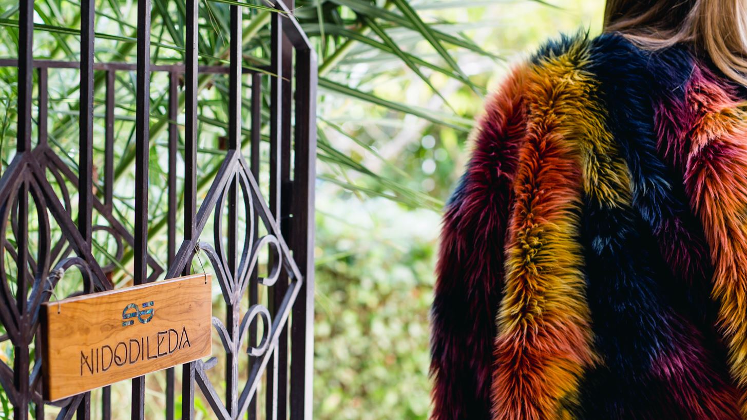 &#x397; &#x3C7;&#x3B5;&#x3B9;&#x3BC;&#x3B5;&#x3C1;&#x3B9;&#x3BD;&#x3AE; &#x3C3;&#x3C5;&#x3BB;&#x3BB;&#x3BF;&#x3B3;&#x3AE; &#x3C4;&#x3B7;&#x3C2; Nidodileda &#x3B5;&#x3AF;&#x3BD;&#x3B1;&#x3B9; &#x3B7; &#x3C0;&#x3B9;&#x3BF; Instagram - friendly &#x3C0;&#x3BF;&#x3C5; &#x3AD;&#x3C7;&#x3BF;&#x3C5;&#x3BC;&#x3B5; &#x3B4;&#x3B5;&#x3B9;