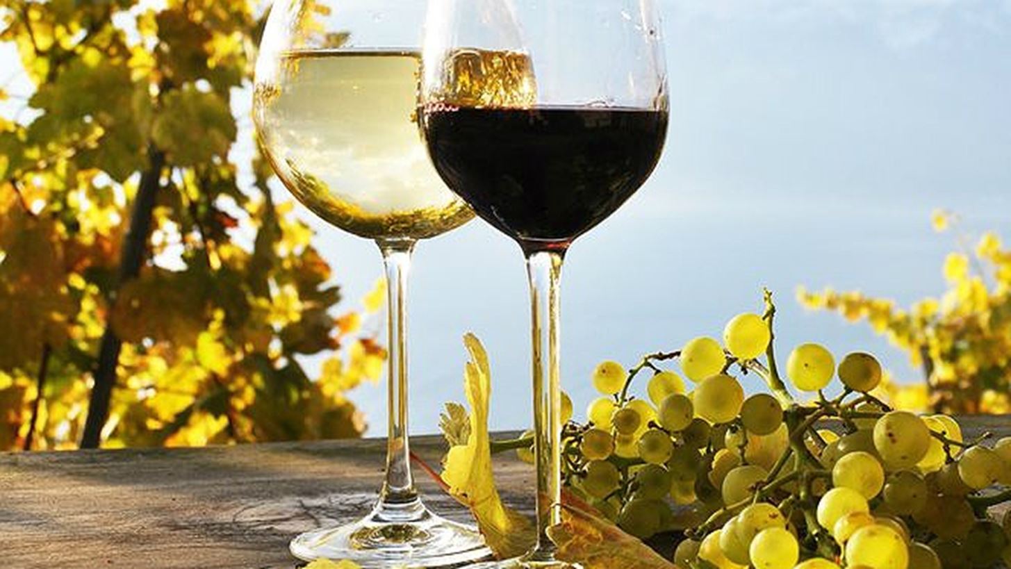 &#x3A4;&#x3B1; &#x3BA;&#x3C1;&#x3B1;&#x3C3;&#x3B9;&#x3AC; &#x3C0;&#x3BF;&#x3C5; &#x3B8;&#x3B1; &#x3C3;&#x3C5;&#x3BD;&#x3BF;&#x3B4;&#x3B5;&#x3CD;&#x3C3;&#x3BF;&#x3C5;&#x3BD; &#x3B9;&#x3B4;&#x3B1;&#x3BD;&#x3B9;&#x3BA;&#x3AC; &#x3C4;&#x3B1; &#x3C0;&#x3B1;&#x3C3;&#x3C7;&#x3B1;&#x3BB;&#x3B9;&#x3BD;&#x3AC; &#x3B5;&#x3B4;&#x3AD;&#x3C3;&#x3BC;&#x3B1;&#x3C4;&#x3B1;