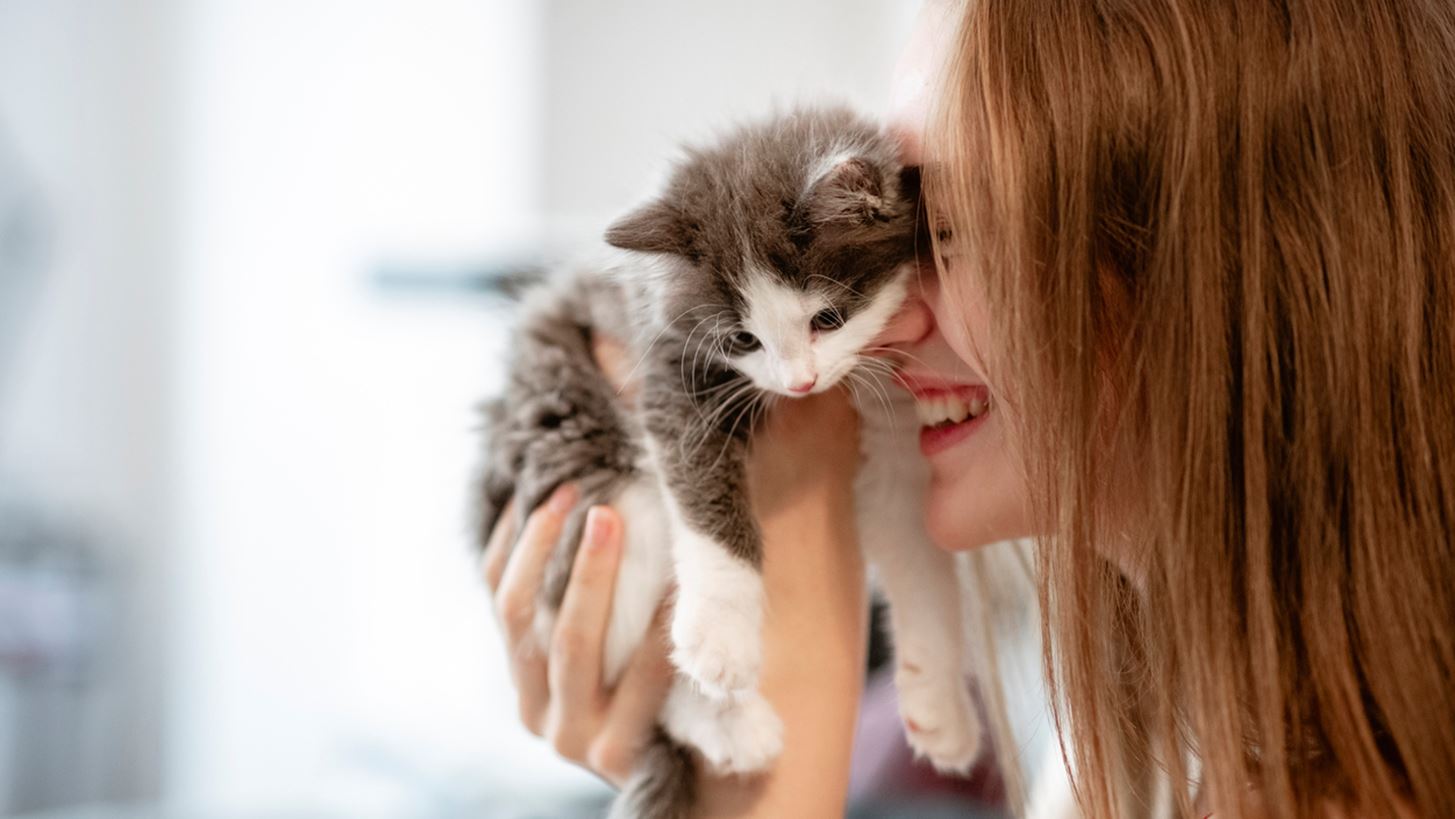 &#x3A3;&#x3C0;&#x3B9;&#x3C4;&#x3AC;&#x3BA;&#x3B9;&#x3B1; &#x3B3;&#x3B9;&#x3B1; &#x3B3;&#x3AC;&#x3C4;&#x3B5;&#x3C2; &#x3C4;&#x3BF;&#x3C0;&#x3BF;&#x3B8;&#x3B5;&#x3C4;&#x3BF;&#x3CD;&#x3BD;&#x3C4;&#x3B1;&#x3B9; &#x3C3;&#x3B5; &#x3B3;&#x3B5;&#x3B9;&#x3C4;&#x3BF;&#x3BD;&#x3B9;&#x3AD;&#x3C2; &#x3C4;&#x3B7;&#x3C2; &#x3C0;&#x3CC;&#x3BB;&#x3B7;&#x3C2;