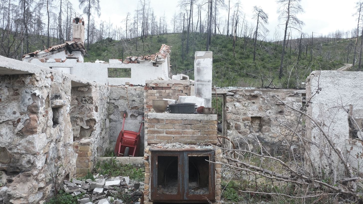 Εκείνη τη μέρα | Ένα φιλμικό δοκίμιο πάνω στη σχέση ανθρώπινου και μη ανθρώπινου κόσμου