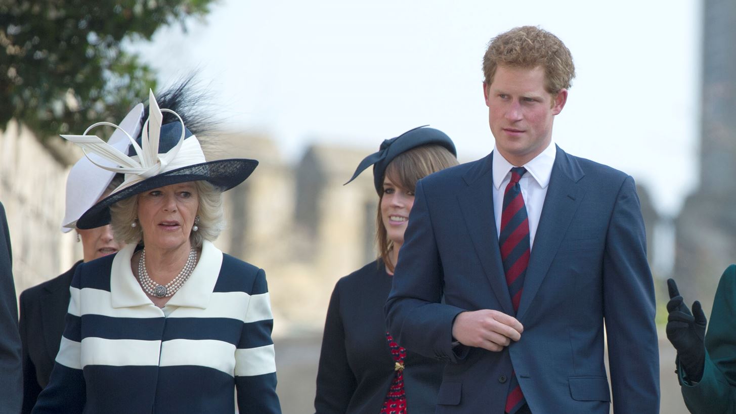 &#x39A;&#x3AC;&#x3C4;&#x3B9; &#x3C0;&#x3BF;&#x3C5; &#x3B4;&#x3B5;&#x3BD; &#x3C0;&#x3B5;&#x3C1;&#x3B9;&#x3BC;&#x3AD;&#x3BD;&#x3B1;&#x3BC;&#x3B5; &#x3BD;&#x3B1; &#x3B4;&#x3BF;&#x3CD;&#x3BC;&#x3B5; &#x3C0;&#x3BF;&#x3C4;&#x3AD;! &#x397; &#x39A;&#x3B1;&#x3BC;&#x3AF;&#x3BB;&#x3B1; &#x3C7;&#x3BF;&#x3C1;&#x3B5;&#x3CD;&#x3B5;&#x3B9; &#x3BC;&#x3B5; &#x3C4;&#x3BF;&#x3BD; &#x3C0;&#x3C1;&#x3AF;&#x3B3;&#x3BA;&#x3B9;&#x3C0;&#x3B1; Harry