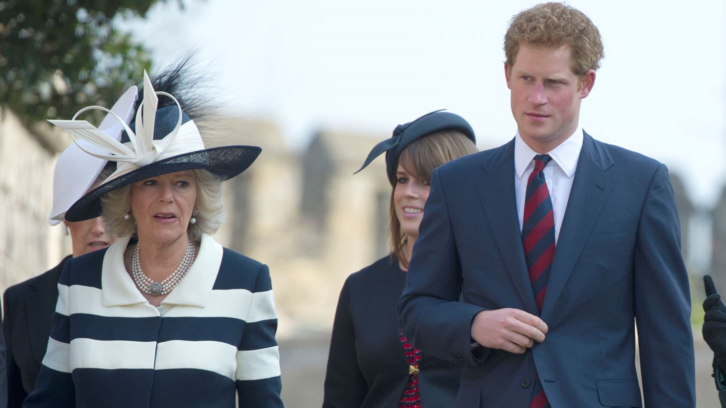 &#x393;&#x3B9;&#x3B1;&#x3C4;&#x3AF; &#x3BF; &#x3C0;&#x3C1;&#x3AF;&#x3B3;&#x3BA;&#x3B9;&#x3C0;&#x3B1;&#x3C2; Harry &#x3BC;&#x3AD;&#x3C7;&#x3C1;&#x3B9; &#x3C3;&#x3AE;&#x3BC;&#x3B5;&#x3C1;&#x3B1; &#x3B1;&#x3BD;&#x3C4;&#x3B9;&#x3C0;&#x3B1;&#x3B8;&#x3B5;&#x3AF; &#x3C4;&#x3B7;&#x3BD; &#x39A;&#x3B1;&#x3BC;&#x3AF;&#x3BB;&#x3B1;