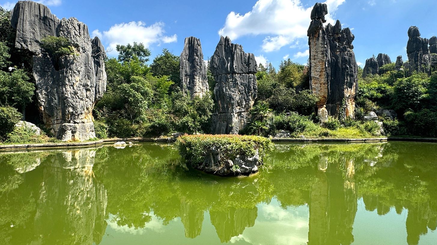 Stone Forest | &#x3A4;&#x3BF; &#x3B5;&#x3BD;&#x3C4;&#x3C5;&#x3C0;&#x3C9;&#x3C3;&#x3B9;&#x3B1;&#x3BA;&#x3CC; &#x3B1;&#x3BE;&#x3B9;&#x3BF;&#x3B8;&#x3AD;&#x3B1;&#x3C4;&#x3BF; &#x3C4;&#x3B7;&#x3C2; &#x39A;&#x3AF;&#x3BD;&#x3B1;&#x3C2; &#x3AD;&#x3C7;&#x3B5;&#x3B9; &#x3AD;&#x3BD;&#x3B1; &#x3CC;&#x3BC;&#x3BF;&#x3B9;&#x3CC; &#x3C4;&#x3BF;&#x3C5; &#x3C3;&#x3C4;&#x3B7;&#x3BD; &#x395;&#x3BB;&#x3BB;&#x3AC;&#x3B4;&#x3B1;