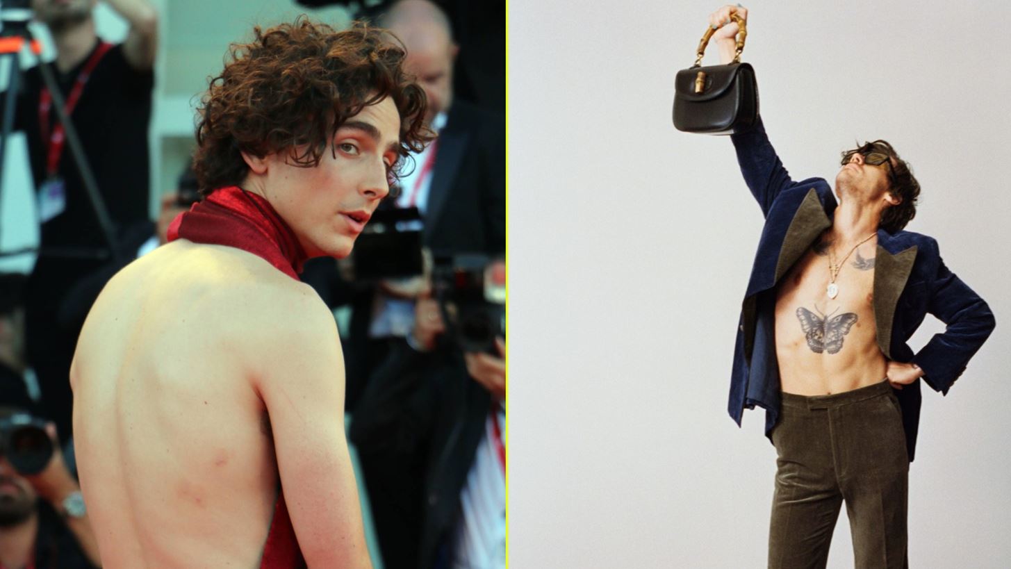 Timoth&#xE9;e Chalamet - Harry Styles | &#x3A4;&#x3B1; &#x3BD;&#x3AD;&#x3B1; &#x3B5;&#x3AF;&#x3B4;&#x3C9;&#x3BB;&#x3B1; &#x3C4;&#x3B7;&#x3C2; &#x3BC;&#x3CC;&#x3B4;&#x3B1;&#x3C2; &#x3B5;&#x3AF;&#x3BD;&#x3B1;&#x3B9; non gender