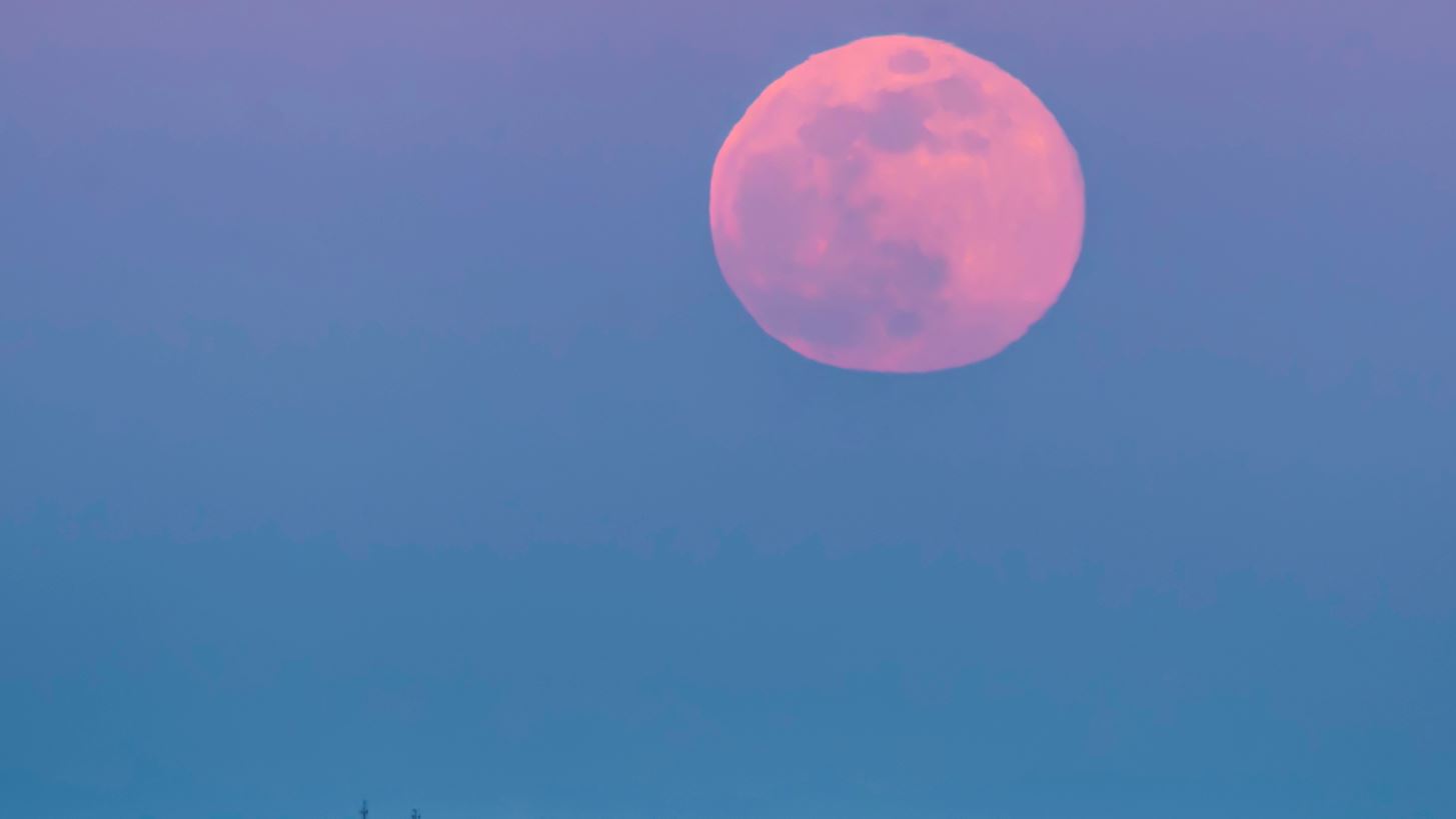 &#x3A0;&#x3B1;&#x3BD;&#x3C3;&#x3AD;&#x3BB;&#x3B7;&#x3BD;&#x3BF;&#x3C2; &#x391;&#x3C0;&#x3C1;&#x3B9;&#x3BB;&#x3AF;&#x3BF;&#x3C5;: &#x393;&#x3B9;&#x3B1;&#x3C4;&#x3AF; &#x3BF;&#x3BD;&#x3BF;&#x3BC;&#x3AC;&#x3B6;&#x3B5;&#x3C4;&#x3B1;&#x3B9; &#x3C1;&#x3BF;&#x3B6; &#x3C6;&#x3B5;&#x3B3;&#x3B3;&#x3AC;&#x3C1;&#x3B9; &#x3BA;&#x3B1;&#x3B9; &#x3C4;&#x3B9; &#x3B1;&#x3BB;&#x3BB;&#x3B1;&#x3B3;&#x3AD;&#x3C2; &#x3C6;&#x3AD;&#x3C1;&#x3BD;&#x3B5;&#x3B9;