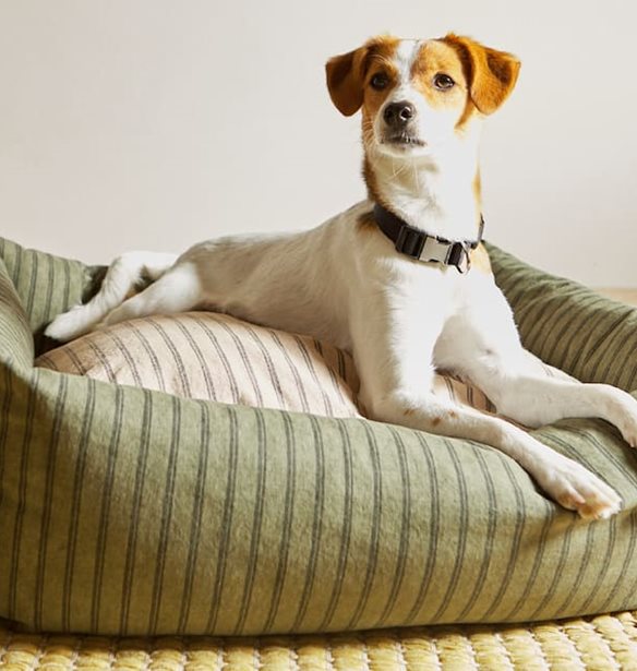 10 αξεσουάρ για το κατοικίδιό σου από τη συλλογή Zara Home