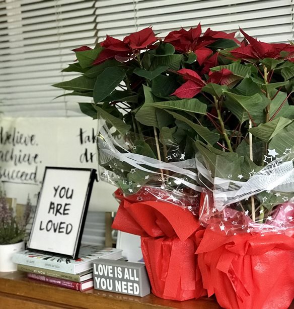 12 &#x394;&#x3B5;&#x3BA;&#x3B5;&#x3BC;&#x3B2;&#x3C1;&#x3AF;&#x3BF;&#x3C5; | &#x3A4;&#x3BF; &#x3B1;&#x3BB;&#x3B5;&#x3BE;&#x3B1;&#x3BD;&#x3B4;&#x3C1;&#x3B9;&#x3BD;&#x3CC; &#x3AD;&#x3C7;&#x3B5;&#x3B9; &#x3C4;&#x3B7; &#x3B4;&#x3B9;&#x3BA;&#x3AE; &#x3C4;&#x3BF;&#x3C5; &#x3B3;&#x3B9;&#x3BF;&#x3C1;&#x3C4;&#x3AE;