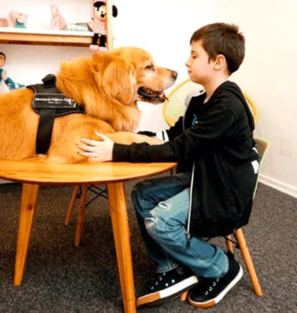 &#x39F; &#x3A4;&#x3B9;&#x3C4;&#x3AC;&#x3BD; &#x3B5;&#x3AF;&#x3BD;&#x3B1;&#x3B9; &#x3BF; &#x3C0;&#x3C1;&#x3CE;&#x3C4;&#x3BF;&#x3C2; &#x3C3;&#x3BA;&#x3CD;&#x3BB;&#x3BF;&#x3C2; &#x3B8;&#x3B5;&#x3C1;&#x3B1;&#x3C0;&#x3B5;&#x3C5;&#x3C4;&#x3AE;&#x3C2; &#x3B3;&#x3B9;&#x3B1; &#x3BA;&#x3B1;&#x3BA;&#x3BF;&#x3C0;&#x3BF;&#x3B9;&#x3B7;&#x3BC;&#x3AD;&#x3BD;&#x3B1; &#x3C0;&#x3B1;&#x3B9;&#x3B4;&#x3B9;&#x3AC;