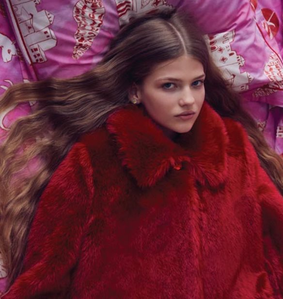 &#x397; &#x3C3;&#x3C7;&#x3B5;&#x3B4;&#x3B9;&#x3AC;&#x3C3;&#x3C4;&#x3C1;&#x3B9;&#x3B1; Shrimps &#x3B4;&#x3B7;&#x3BC;&#x3B9;&#x3BF;&#x3CD;&#x3C1;&#x3B3;&#x3B7;&#x3C3;&#x3B5; &#x3C4;&#x3B7;&#x3BD; &#x3C0;&#x3C1;&#x3CE;&#x3C4;&#x3B7; deco &#x3C3;&#x3C5;&#x3BB;&#x3BB;&#x3BF;&#x3B3;&#x3AE; &#x3C4;&#x3B7;&#x3C2;