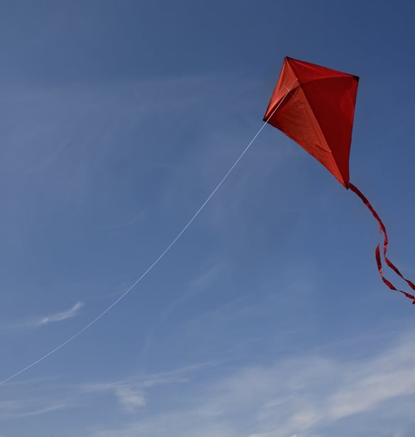 &#x389;&#x3BE;&#x3B5;&#x3C1;&#x3B5;&#x3C2; &#x3CC;&#x3C4;&#x3B9; &#x3BF; &#x3C7;&#x3B1;&#x3C1;&#x3C4;&#x3B1;&#x3B5;&#x3C4;&#x3CC;&#x3C2; &#x3C0;&#x3B5;&#x3C4;&#x3AC;&#x3B5;&#x3B9; &#x3C3;&#x3C4;&#x3B7;&#x3BD; &#x39A;&#x3AF;&#x3BD;&#x3B1; &#x3B1;&#x3C0;&#x3CC; &#x3C4;&#x3BF; 200 &#x3C0;.&#x3A7;;