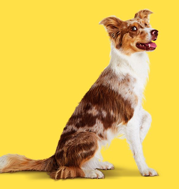 &#x395;&#x3BD;&#x3AD;&#x3C1;&#x3B3;&#x3B5;&#x3B9;&#x3B5;&#x3C2; &#x3BC;&#x3B5; &#x3B8;&#x3B5;&#x3C4;&#x3B9;&#x3BA;&#x3CC; &#x3C0;&#x3C1;&#x3CC;&#x3C3;&#x3B7;&#x3BC;&#x3BF; &#x3C0;&#x3BF;&#x3C5; &#x3B8;&#x3B1; &#x3C3;&#x3BF;&#x3C5; &#x3C6;&#x3C4;&#x3B9;&#x3AC;&#x3BE;&#x3BF;&#x3C5;&#x3BD; &#x3C4;&#x3B7; &#x3BC;&#x3AD;&#x3C1;&#x3B1;