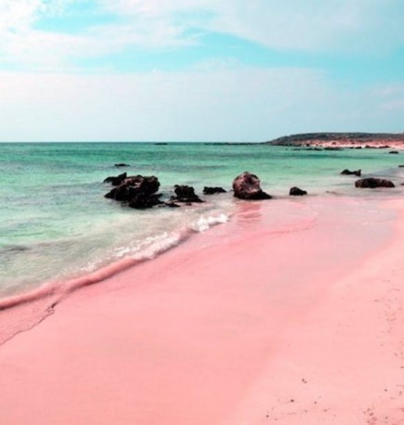 6 &#x3C1;&#x3BF;&#x3B6; &#x3C0;&#x3B1;&#x3C1;&#x3B1;&#x3BB;&#x3AF;&#x3B5;&#x3C2; &#x3B3;&#x3B9;&#x3B1; &#x3BD;&#x3B1; &#x3B2;&#x3B9;&#x3CE;&#x3C3;&#x3B5;&#x3B9;&#x3C2; &#x3C4;&#x3BF; &#x3B1;&#x3C0;&#x3CC;&#x3BB;&#x3C5;&#x3C4;&#x3BF; wanderlust