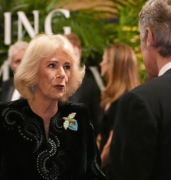 H μονομαχία της καρφίτσας | Το κρυφό νόημα πίσω από τα κοσμήματα της βασίλισσας Καμίλα και της Sophie του Εδιμβούργου