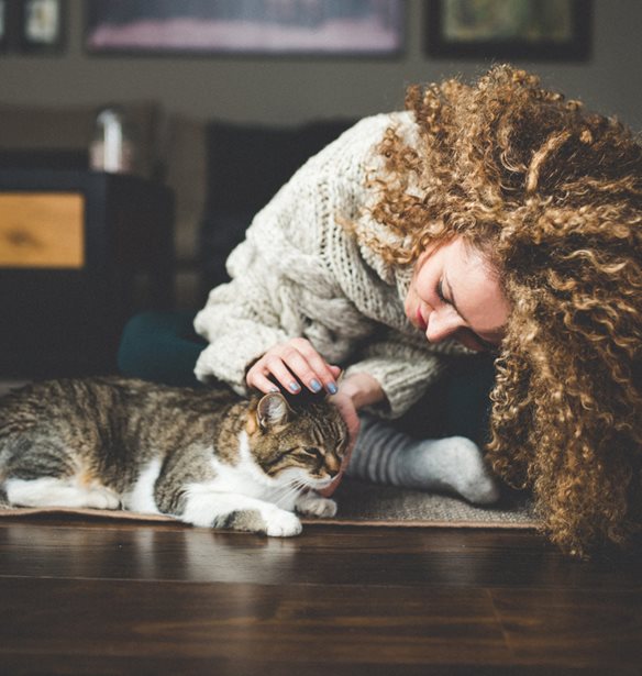 4 &#x3BC;&#x3B1;&#x3B8;&#x3AE;&#x3BC;&#x3B1;&#x3C4;&#x3B1; &#x3C0;&#x3BF;&#x3C5; &#x3B8;&#x3B1; &#x3C0;&#x3AC;&#x3C1;&#x3B5;&#x3B9;&#x3C2; &#x3CC;&#x3C4;&#x3B1;&#x3BD; &#x3B1;&#x3C0;&#x3AD;&#x3C7;&#x3B5;&#x3B9;&#x3C2; &#x3B1;&#x3C0;&#x3CC; &#x3C4;&#x3B1; social media