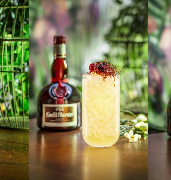 &#x39C;&#x3AF;&#x3B1; &#x3C5;&#x3C0;&#x3AD;&#x3C1;&#x3BF;&#x3C7;&#x3B7; orangerie &#x3B1;&#x3BD;&#x3B8;&#x3AF;&#x3B6;&#x3B5;&#x3B9; &#x3C3;&#x3C4;&#x3BF; &#x3BA;&#x3AD;&#x3BD;&#x3C4;&#x3C1;&#x3BF; &#x3C4;&#x3B7;&#x3C2; &#x391;&#x3B8;&#x3AE;&#x3BD;&#x3B1;&#x3C2;