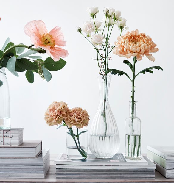 &#x39C;&#x3AC;&#x3B9;&#x3BF;&#x3C2;: 15 &#x3B9;&#x3B4;&#x3AD;&#x3B5;&#x3C2; &#x3B3;&#x3B9;&#x3B1; &#x3BD;&#x3B1; &#x3C6;&#x3AD;&#x3C1;&#x3B5;&#x3B9;&#x3C2; &#x3C4;&#x3B7;&#x3BD; &#x386;&#x3BD;&#x3BF;&#x3B9;&#x3BE;&#x3B7; &#x3C3;&#x3C4;&#x3BF; &#x3C3;&#x3C0;&#x3AF;&#x3C4;&#x3B9; &#x3C3;&#x3BF;&#x3C5;