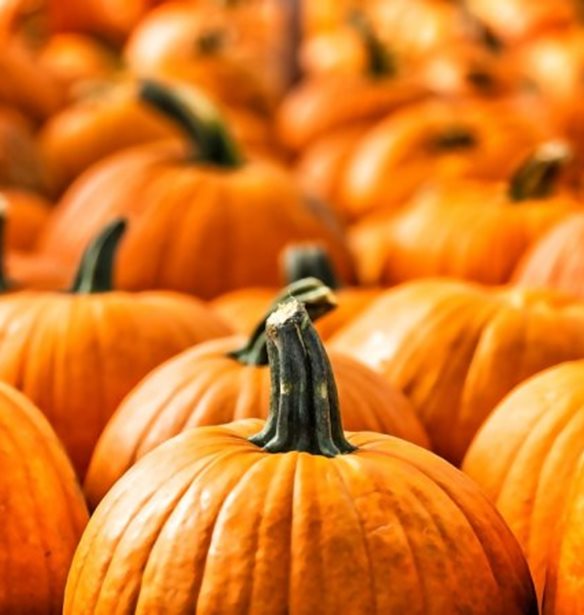 5 λόγοι να φας κολοκύθα ΤΩΡΑ (ναι, ξεκινάει η εποχή της!)