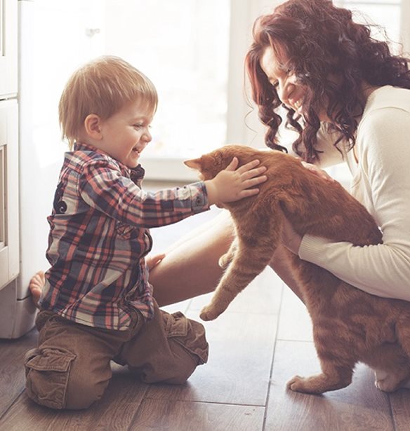 &#x397; &#x3B3;&#x3BF;&#x3BD;&#x3B5;&#x3CA;&#x3BA;&#x3CC;&#x3C4;&#x3B7;&#x3C4;&#x3B1; &#x3B5;&#x3AF;&#x3BD;&#x3B1;&#x3B9; &#x3B3;&#x3B5;&#x3BC;&#x3AC;&#x3C4;&#x3B7; &#x3BC;&#x3B5; &#x3C3;&#x3C4;&#x3B9;&#x3B3;&#x3BC;&#x3AD;&#x3C2; &#x3B1;&#x3BA;&#x3C1;&#x3B1;&#x3AF;&#x3B1;&#x3C2; &#x3B5;&#x3C5;&#x3C4;&#x3C5;&#x3C7;&#x3AF;&#x3B1;&#x3C2; &#x3C0;&#x3BF;&#x3C5; &#x3B5;&#x3BD;&#x3B1;&#x3BB;&#x3BB;&#x3AC;&#x3C3;&#x3C3;&#x3BF;&#x3BD;&#x3C4;&#x3B1;&#x3B9; &#x3BC;&#x3B5; &#x3C3;&#x3C4;&#x3B9;&#x3B3;&#x3BC;&#x3AD;&#x3C2; &#x3B1;&#x3C0;&#x3CC;&#x3BB;&#x3C5;&#x3C4;&#x3B7;&#x3C2; &#x3B1;&#x3C0;&#x3BF;&#x3B3;&#x3BF;&#x3AE;&#x3C4;&#x3B5;&#x3C5;&#x3C3;&#x3B7;&#x3C2;