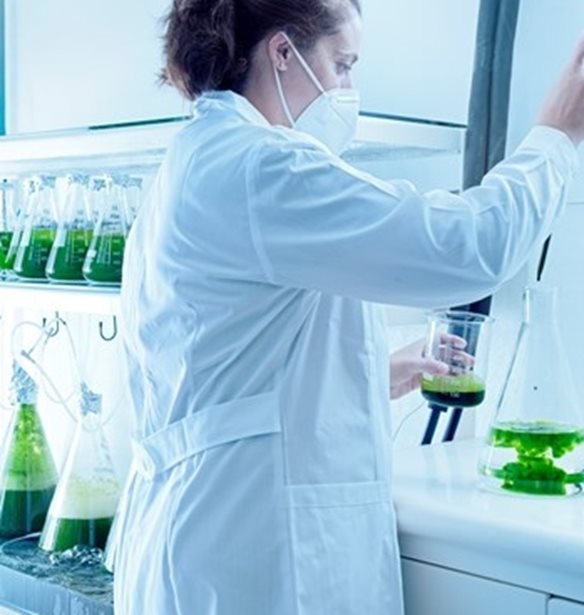 &#x39F;&#x3B9; &#x3B3;&#x3C5;&#x3BD;&#x3B1;&#x3AF;&#x3BA;&#x3B5;&#x3C2; &#x3B4;&#x3AF;&#x3BD;&#x3BF;&#x3C5;&#x3BD; &#x3C4;&#x3BF; &#x3B4;&#x3B9;&#x3BA;&#x3CC; &#x3C4;&#x3BF;&#x3C5;&#x3C2; &quot;&#x3C0;&#x3B1;&#x3C1;&#x3CE;&#x3BD;&quot; &#x3BA;&#x3B1;&#x3B9; &#x3C3;&#x3C4;&#x3B7;&#x3BD; &#x3B5;&#x3BB;&#x3BB;&#x3B7;&#x3BD;&#x3B9;&#x3BA;&#x3AE; &#x3B9;&#x3C7;&#x3B8;&#x3C5;&#x3BF;&#x3BA;&#x3B1;&#x3BB;&#x3BB;&#x3B9;&#x3AD;&#x3C1;&#x3B3;&#x3B5;&#x3B9;&#x3B1;