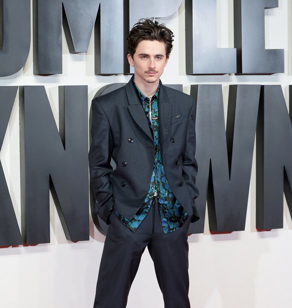 Timothée Chalamet | Τι είναι αυτό που τον συνδέει με τον Marlon Brando;