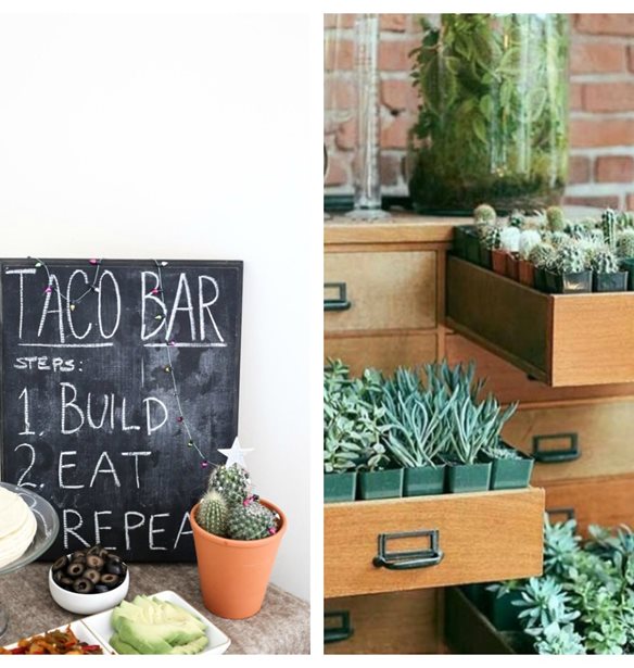 &#x39F; &#x3BA;&#x3AC;&#x3BA;&#x3C4;&#x3BF;&#x3C2; &#x3B5;&#x3AF;&#x3BD;&#x3B1;&#x3B9; &#x3C4;&#x3BF; &#x3C6;&#x3C5;&#x3C4;&#x3CC; &#x3B5;&#x3C3;&#x3C9;&#x3C4;&#x3B5;&#x3C1;&#x3B9;&#x3BA;&#x3BF;&#x3CD; &#x3C7;&#x3CE;&#x3C1;&#x3BF;&#x3C5; &#x3C0;&#x3BF;&#x3C5; &#x3B8;&#x3AD;&#x3BB;&#x3B5;&#x3B9;&#x3C2; &#x3C3;&#x3C4;&#x3BF; &#x3C3;&#x3C0;&#x3AF;&#x3C4;&#x3B9; &#x3C3;&#x3BF;&#x3C5;