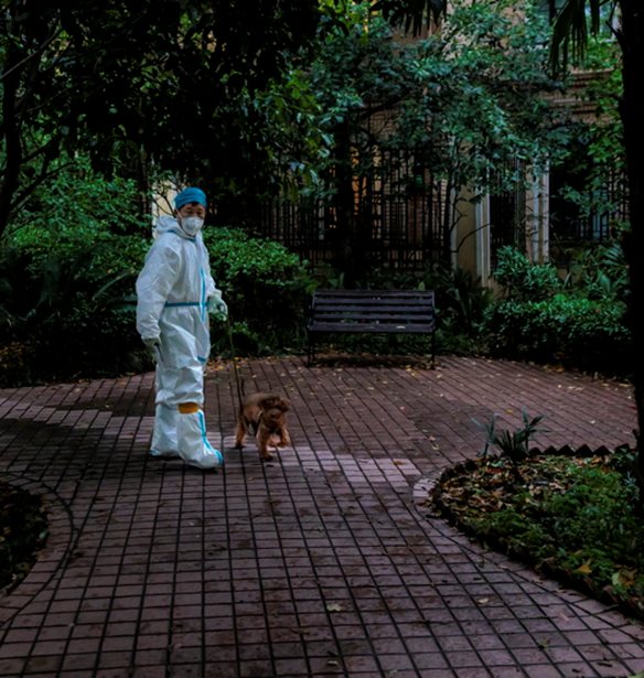 Lockdown | &#x3A4;&#x3B9; &#x3C3;&#x3C5;&#x3BC;&#x3B2;&#x3B1;&#x3AF;&#x3BD;&#x3B5;&#x3B9; &#x3C3;&#x3C4;&#x3B7; &#x3A3;&#x3B1;&#x3B3;&#x3BA;&#x3AC;&#x3B7; &#x3BA;&#x3B1;&#x3B9; &#x3C4;&#x3C1;&#x3BF;&#x3BC;&#x3BF;&#x3BA;&#x3C1;&#x3B1;&#x3C4;&#x3BF;&#x3CD;&#x3BD; &#x3C4;&#x3BF;&#x3C5;&#x3C2; &#x3BA;&#x3B1;&#x3C4;&#x3BF;&#x3AF;&#x3BA;&#x3BF;&#x3C5;&#x3C2;;