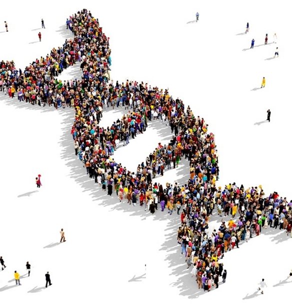 &#x393;&#x3BF;&#x3BD;&#x3B9;&#x3B4;&#x3B9;&#x3B1;&#x3BA;&#x3CC;&#x3C2; &#x3AD;&#x3BB;&#x3B5;&#x3B3;&#x3C7;&#x3BF;&#x3C2; &#x3B3;&#x3B9;&#x3B1; &#x39A;&#x3BB;&#x3B7;&#x3C1;&#x3BF;&#x3BD;&#x3BF;&#x3BC;&#x3BF;&#x3CD;&#x3BC;&#x3B5;&#x3BD;&#x3BF; &#x39A;&#x3B1;&#x3C1;&#x3BA;&#x3AF;&#x3BD;&#x3BF;: &quot;&#x3A4;&#x3B1; &#x3B3;&#x3BF;&#x3BD;&#x3AF;&#x3B4;&#x3B9;&#x3B1; &#x3C3;&#x3B1;&#x3C2; &#x3BC;&#x3B9;&#x3BB;&#x3BF;&#x3CD;&#x3BD;, &#x3B5;&#x3BC;&#x3B5;&#x3AF;&#x3C2; &#x3B1;&#x3C0;&#x3BB;&#x3CE;&#x3C2; &#x3BC;&#x3B5;&#x3C4;&#x3B1;&#x3C6;&#x3C1;&#x3AC;&#x3B6;&#x3BF;&#x3C5;&#x3BC;&#x3B5;!&quot;