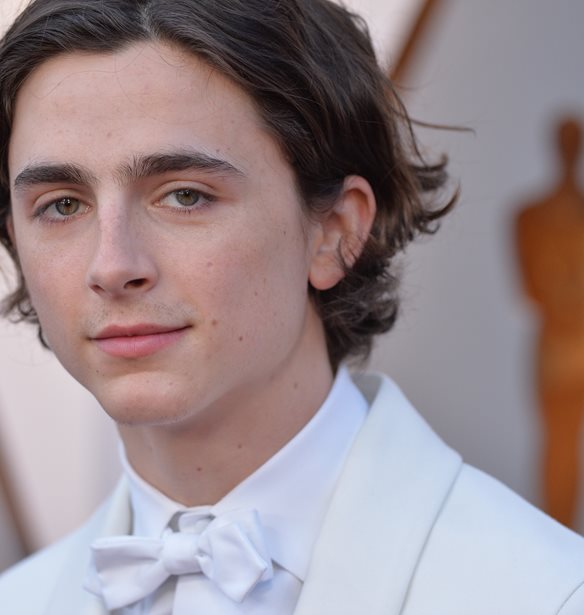 &#x388;&#x3BD;&#x3B1; &#x3B1;&#x3C0;&#x3AF;&#x3B8;&#x3B1;&#x3BD;&#x3BF; &#x3C1;&#x3B5;&#x3BA;&#x3CC;&#x3C1; &#x3B3;&#x3B9;&#x3B1; &#x3C4;&#x3BF;&#x3BD; Timoth&#xE9;e Chalamet