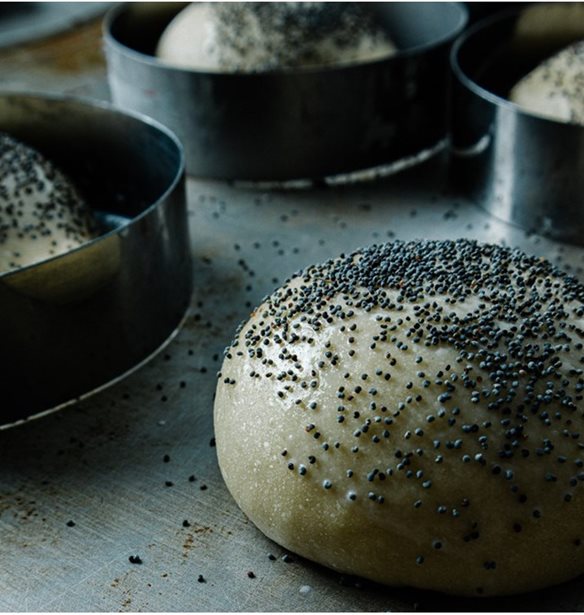 &#x391;&#x3C6;&#x3C1;&#x3AC;&#x3C4;&#x3B1; Burger Buns &#x3C4;&#x3BF;&#x3C5; &#x391;&#x3BB;&#x3AD;&#x3BE;&#x3B1;&#x3BD;&#x3B4;&#x3C1;&#x3BF;&#x3C5; &#x3A4;&#x3C3;&#x3B9;&#x3BF;&#x3C4;&#x3AF;&#x3BD;&#x3B7;