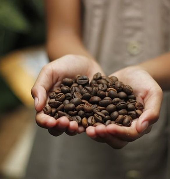 Cafe Femenino Greece | &#x3A4;&#x3BF; &#x3C0;&#x3B9;&#x3BF; &#x3BE;&#x3B5;&#x3C7;&#x3C9;&#x3C1;&#x3B9;&#x3C3;&#x3C4;&#x3CC; speciality coffee store concept &#x3C3;&#x3C4;&#x3B7;&#x3BD; &#x3C0;&#x3CC;&#x3BB;&#x3B7;