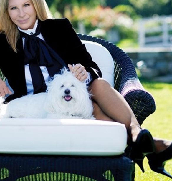 &quot;My Name Is Barbra&quot; | &#x388;&#x3C1;&#x3C7;&#x3B5;&#x3C4;&#x3B1;&#x3B9; &#x3B5;&#x3C0;&#x3B9;&#x3C4;&#x3AD;&#x3BB;&#x3BF;&#x3C5;&#x3C2; &#x3B7; &#x3B1;&#x3C5;&#x3C4;&#x3BF;&#x3B2;&#x3B9;&#x3BF;&#x3B3;&#x3C1;&#x3B1;&#x3C6;&#x3AF;&#x3B1; &#x3C4;&#x3B7;&#x3C2; Streisand!