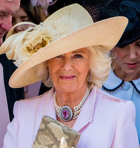 Queen Camilla &#x3AE; &#x3B7; &#x3C4;&#x3AD;&#x3C7;&#x3BD;&#x3B7; &#x3C4;&#x3B7;&#x3C2; &#x3C5;&#x3C0;&#x3BF;&#x3BC;&#x3BF;&#x3BD;&#x3AE;&#x3C2; | &#x3A0;&#x3CE;&#x3C2; &#x3B7; &quot;&#x3C0;&#x3B9;&#x3BF; &#x3BC;&#x3B9;&#x3C3;&#x3B7;&#x3C4;&#x3AE;&quot; &#x3B3;&#x3C5;&#x3BD;&#x3B1;&#x3AF;&#x3BA;&#x3B1; &#x3C4;&#x3B7;&#x3C2; &#x39C;.&#x392;&#x3C1;&#x3B5;&#x3C4;&#x3B1;&#x3BD;&#x3AF;&#x3B1;&#x3C2; &#x3AD;&#x3B3;&#x3B9;&#x3BD;&#x3B5; &#x3B2;&#x3B1;&#x3C3;&#x3AF;&#x3BB;&#x3B9;&#x3C3;&#x3C3;&#x3B1;