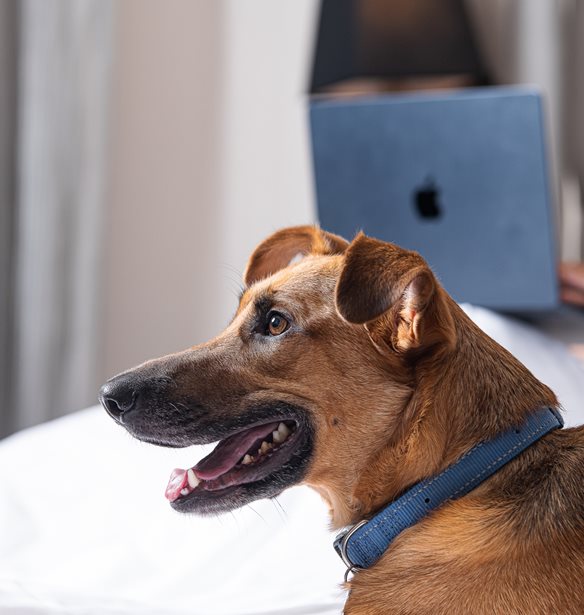 &#x3A6;&#x3B9;&#x3BB;&#x3BF;&#x3BE;&#x3B5;&#x3BD;&#x3AF;&#x3B1; &#x3BC;&#x3B5;... &#x3BF;&#x3C5;&#x3C1;&#x3AC;