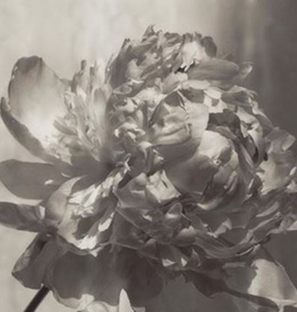 &#x394;&#x3B9;&#x3AC;&#x3C3;&#x3B7;&#x3BC;&#x3BF;&#x3B9; &#x3C6;&#x3C9;&#x3C4;&#x3BF;&#x3B3;&#x3C1;&#x3AC;&#x3C6;&#x3BF;&#x3B9; &#x3B5;&#x3BD;&#x3CE;&#x3BD;&#x3BF;&#x3BD;&#x3C4;&#x3B1;&#x3B9; &#x3B3;&#x3B9;&#x3B1; &#x3BA;&#x3B1;&#x3BB;&#x3CC; &#x3C3;&#x3BA;&#x3BF;&#x3C0;&#x3CC;