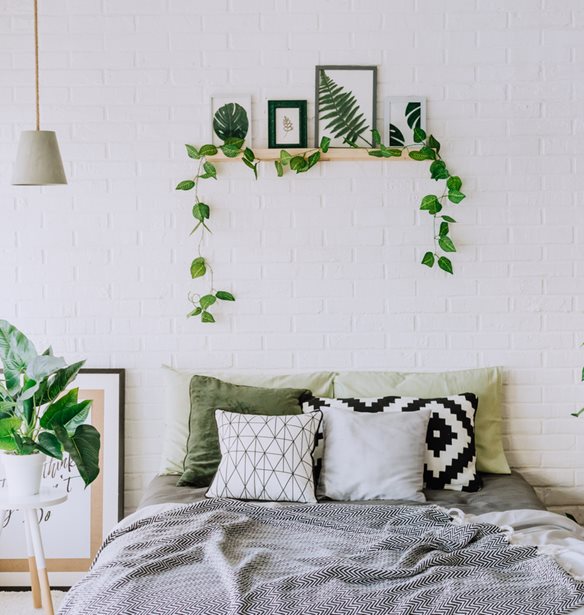 12 &#x3C6;&#x3C5;&#x3C4;&#x3AC; &#x3B5;&#x3C3;&#x3C9;&#x3C4;&#x3B5;&#x3C1;&#x3B9;&#x3BA;&#x3BF;&#x3CD; &#x3C7;&#x3CE;&#x3C1;&#x3BF;&#x3C5; &#x3B9;&#x3B4;&#x3B1;&#x3BD;&#x3B9;&#x3BA;&#x3AC; &#x3B3;&#x3B9;&#x3B1; &#x3C4;&#x3B7;&#x3BD; &#x3BA;&#x3C1;&#x3B5;&#x3B2;&#x3B1;&#x3C4;&#x3BF;&#x3BA;&#x3AC;&#x3BC;&#x3B1;&#x3C1;&#x3B1;