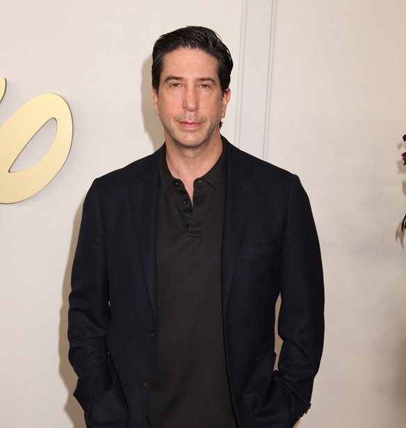 David Schwimmer | &#x3A4;&#x3B9; &#x3B1;&#x3C0;&#x3BF;&#x3BA;&#x3AC;&#x3BB;&#x3C5;&#x3C8;&#x3B5; &#x3B3;&#x3B9;&#x3B1; &#x3C4;&#x3B7; &#x3C3;&#x3C7;&#x3AD;&#x3C3;&#x3B7; &#x3C4;&#x3BF;&#x3C5; &#x3BC;&#x3B5; &#x3C4;&#x3BF;&#x3BD; Matthew Perry