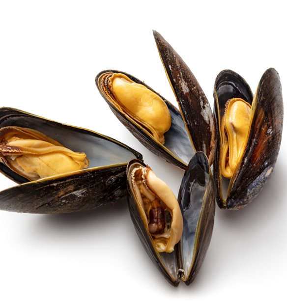 5 &#x3B1;&#x3C0;&#x3C1;&#x3BF;&#x3C3;&#x3B4;&#x3CC;&#x3BA;&#x3B7;&#x3C4;&#x3B1; &#x3C6;&#x3B1;&#x3B3;&#x3B7;&#x3C4;&#x3AC; &#x3C0;&#x3BF;&#x3C5; &#x3C8;&#x3AE;&#x3BD;&#x3BF;&#x3BD;&#x3C4;&#x3B1;&#x3B9; &#x3C3;&#x3C4;&#x3B1; &#x3BA;&#x3AC;&#x3C1;&#x3B2;&#x3BF;&#x3C5;&#x3BD;&#x3B1;