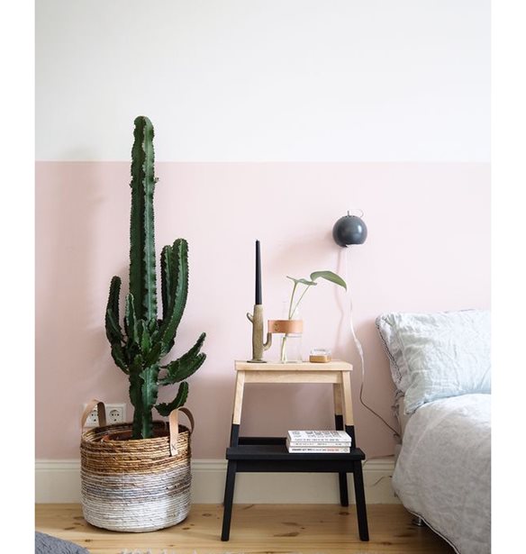 &#x3A0;&#x3CE;&#x3C2; &#x3BD;&#x3B1; &#x3B4;&#x3B9;&#x3B1;&#x3BA;&#x3BF;&#x3C3;&#x3BC;&#x3AE;&#x3C3;&#x3B5;&#x3B9;&#x3C2; &#x3C4;&#x3BF;&#x3BD; &#x3C4;&#x3BF;&#x3AF;&#x3C7;&#x3BF; &#x3C0;&#x3AF;&#x3C3;&#x3C9; &#x3B1;&#x3C0;&#x3CC; &#x3C4;&#x3BF; &#x3BA;&#x3C1;&#x3B5;&#x3B2;&#x3AC;&#x3C4;&#x3B9;