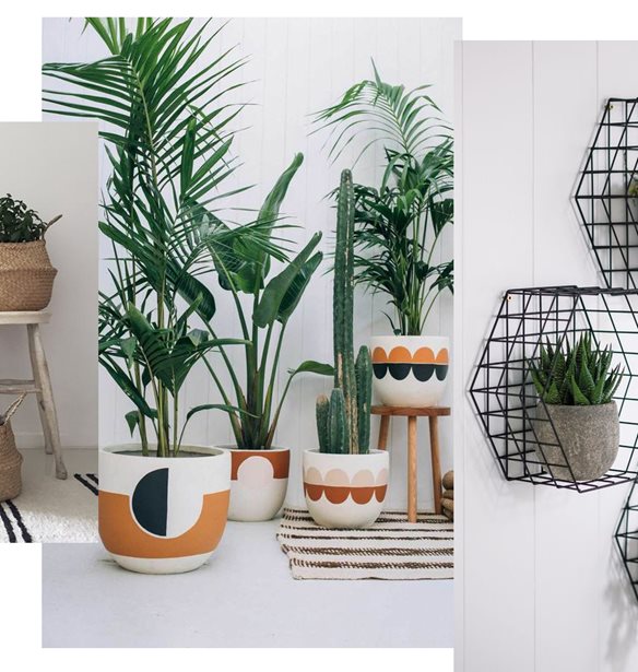 &#x391;&#x3BD;&#x3BF;&#x3B9;&#x3BE;&#x3B9;&#x3AC;&#x3C4;&#x3B9;&#x3BA;&#x3BF; deco: 10 &#x3B9;&#x3B4;&#x3AD;&#x3B5;&#x3C2; &#x3B3;&#x3B9;&#x3B1; &#x3BD;&#x3B1; &quot;&#x3B1;&#x3BD;&#x3B1;&#x3B2;&#x3B1;&#x3B8;&#x3BC;&#x3AF;&#x3C3;&#x3B5;&#x3B9;&#x3C2;&quot; &#x3C4;&#x3B9;&#x3C2; &#x3B3;&#x3BB;&#x3AC;&#x3C3;&#x3C4;&#x3C1;&#x3B5;&#x3C2; &#x3C3;&#x3BF;&#x3C5;