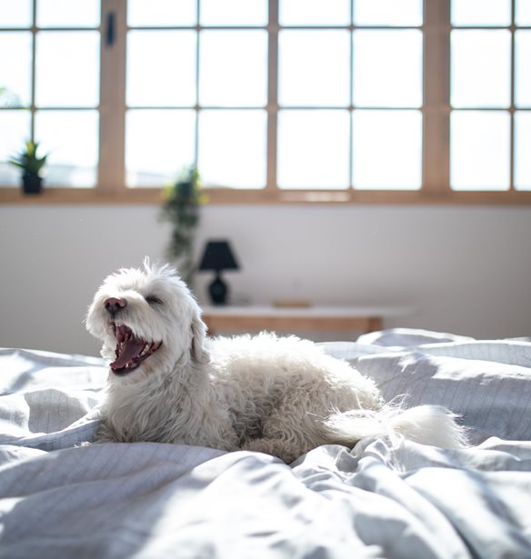 &#x3A3;&#x3B5; &#x3B1;&#x3C5;&#x3C4;&#x3CC; &#x3C4;&#x3BF; site &#x3BC;&#x3C0;&#x3BF;&#x3C1;&#x3B5;&#x3AF;&#x3C2; &#x3BD;&#x3B1; &#x3C6;&#x3C4;&#x3B9;&#x3AC;&#x3BE;&#x3B5;&#x3B9;&#x3C2; &#x3C0;&#x3B9;&#x3C4;&#x3B6;&#x3AC;&#x3BC;&#x3B5;&#x3C2; &#x3BC;&#x3B5; &#x3C4;&#x3B7;&#x3BD; &#x3C6;&#x3C9;&#x3C4;&#x3BF;&#x3B3;&#x3C1;&#x3B1;&#x3C6;&#x3AF;&#x3B1; &#x3C4;&#x3BF;&#x3C5; &#x3C3;&#x3BA;&#x3CD;&#x3BB;&#x3BF;&#x3C5; &#x3C3;&#x3BF;&#x3C5;