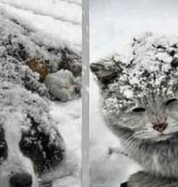 &quot;&#x392;&#x3B9;&#x3CE;&#x3BD;&#x3BF;&#x3C5;&#x3BD; &#x3C4;&#x3BF; &#x3BA;&#x3C1;&#x3CD;&#x3BF; &#x3BC;&#x3B5; &#x3C4;&#x3BF;&#x3BD; &#x3C7;&#x3B5;&#x3B9;&#x3C1;&#x3CC;&#x3C4;&#x3B5;&#x3C1;&#x3BF; &#x3C4;&#x3C1;&#x3CC;&#x3C0;&#x3BF;&quot; | &#x39F;&#x3B9; &#x3C3;&#x3C5;&#x3BC;&#x3B2;&#x3BF;&#x3C5;&#x3BB;&#x3AD;&#x3C2; &#x3C4;&#x3BF;&#x3C5; &#x3B5;&#x3B9;&#x3B4;&#x3B9;&#x3BA;&#x3BF;&#x3CD; &#x3C0;&#x3BF;&#x3C5; &#x3BC;&#x3C0;&#x3BF;&#x3C1;&#x3B5;&#x3AF; &#x3BD;&#x3B1; &#x3C3;&#x3CE;&#x3C3;&#x3BF;&#x3C5;&#x3BD; &#x3B6;&#x3C9;&#x3AD;&#x3C2; &#x3B1;&#x3B4;&#x3AD;&#x3C3;&#x3C0;&#x3BF;&#x3C4;&#x3C9;&#x3BD;