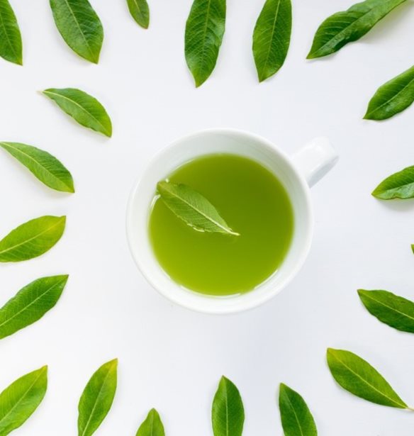 Αντιμετώπιση του άγχους: Η λ-θεανίνη είναι το αμινοξύ που καταπολεμά φυσικά το στρες