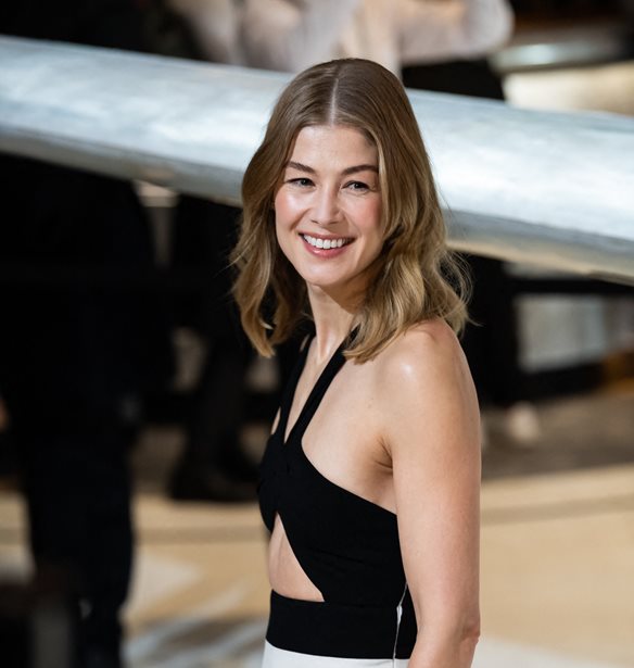 Rosamund Pike | &#x392;&#x3C1;&#x3AE;&#x3BA;&#x3B5; &#x3C4;&#x3B7;&#x3BD; &#x3C0;&#x3B9;&#x3BF; &#x3C0;&#x3B5;&#x3C1;&#x3AF;&#x3B5;&#x3C1;&#x3B3;&#x3B7; &#x3B8;&#x3AD;&#x3C3;&#x3B7; &#x3B3;&#x3B9;&#x3B1; &#x3C4;&#x3BF; Golden Globe &#x3C4;&#x3B7;&#x3C2;