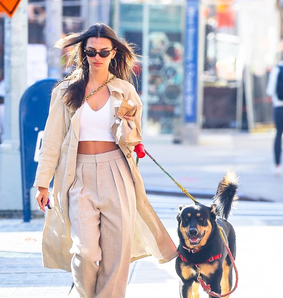 10 &#x3BA;&#x3B1;&#x3C4;&#x3BF;&#x3B9;&#x3BA;&#x3AF;&#x3B4;&#x3B9;&#x3B1; &#x3BC;&#x3B5; &#x3B4;&#x3B9;&#x3AC;&#x3C3;&#x3B7;&#x3BC;&#x3BF;&#x3C5;&#x3C2; &#x3B3;&#x3BF;&#x3BD;&#x3B5;&#x3AF;&#x3C2;