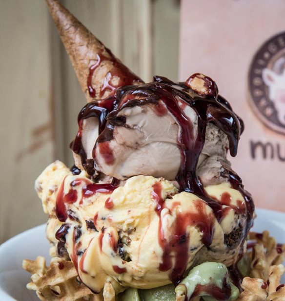 &#x3A4;&#x3B1; &#x3C0;&#x3B9;&#x3BF; &#x3BB;&#x3B1;&#x3C7;&#x3C4;&#x3B1;&#x3C1;&#x3B9;&#x3C3;&#x3C4;&#x3AC; &#x3C0;&#x3B1;&#x3B3;&#x3C9;&#x3C4;&#x3AC; &#x3C4;&#x3BF;&#x3C5; Instagram (&#x3BA;&#x3B1;&#x3B9; &#x3C0;&#x3BF;&#x3CD; &#x3B8;&#x3B1; &#x3C4;&#x3B1; &#x3B2;&#x3C1;&#x3B5;&#x3B9;&#x3C2;)