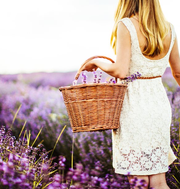 Έλαιο λεβάντας | 8 ευεργετικές ιδιότητες που έχει στον οργανισμό σου